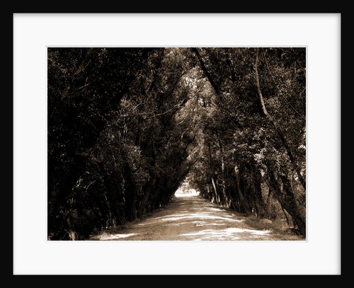 Willow Road, Gloucester by Anonymous