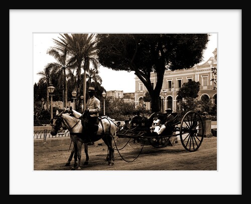 Cuban volanta, A by Anonymous