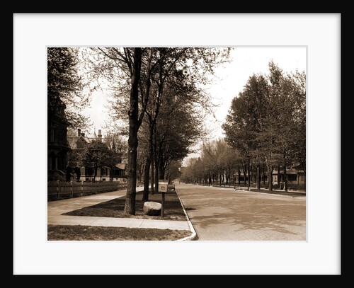 North Delaware Street, Indianapolis by Anonymous