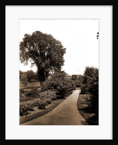On the path to paradise, the campus by Anonymous