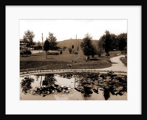 Lily pond, Mountain Park by Anonymous