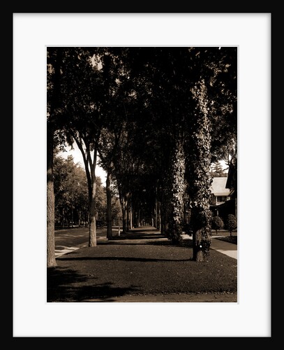 North Broadway, Saratoga by Anonymous