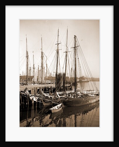 Along the wharves, Gloucester by Anonymous
