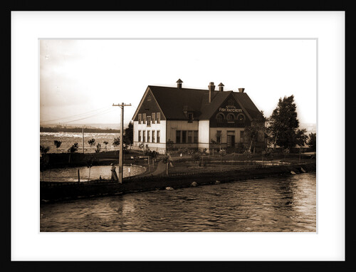 State fish hatchery, Sault Ste. Marie by Anonymous