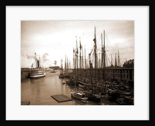 Schooners at "T" wharf, Boston by Anonymous