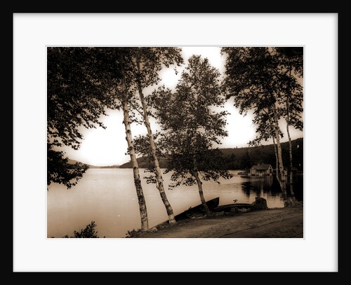 The Birches at Oak Birch Inn, Alton Bay by Anonymous