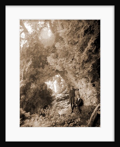 Fairy Arch, Mackinac Island by Anonymous