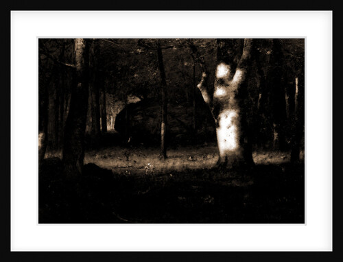 Sunset in the woods by George Inness