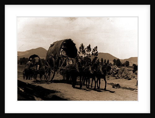 Returning from market, Amecameca by Anonymous