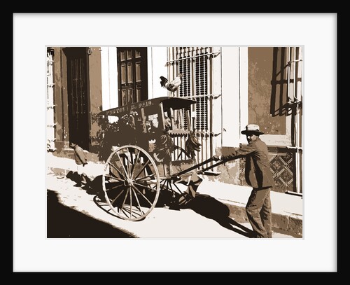 Fruit and poultry vendor by Anonymous