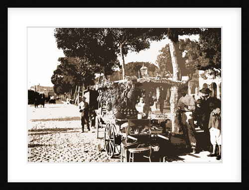 Fruit stands on the Prado by Anonymous