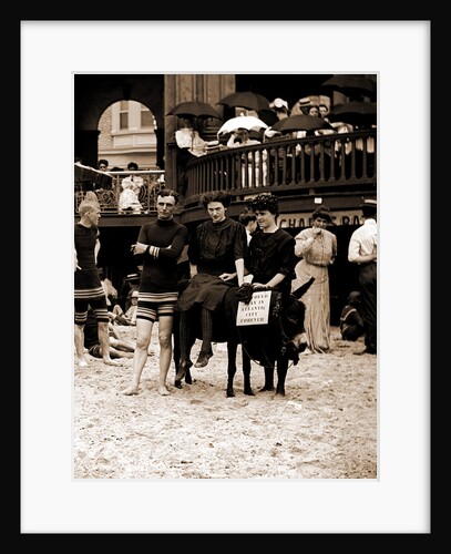Man and women posed on donkey for photo at crowded beach by Anonymous