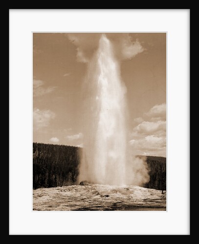Old Faithful, Yellowstone National Park, Wyoming by William Henry Jackson