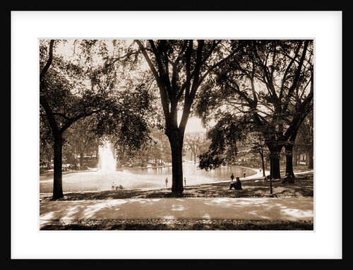 The Frog Pond, Boston Common by Anonymous