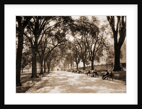 Beacon Street Mall, Boston by Anonymous