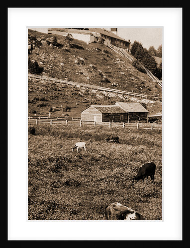 Old Fort Mackinac from the pasture, Forts & fortifications by Anonymous