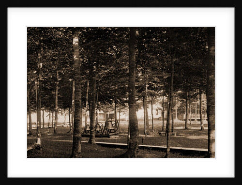 The Grove at Bay View, Michigan by Anonymous