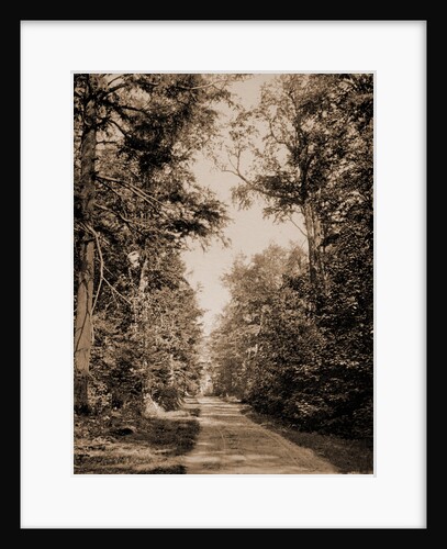 The Drive on Presque Isle Park, Lake Superior by Anonymous