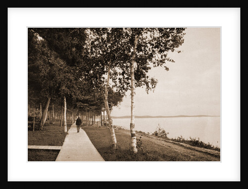 The Walk at We-Que-Ton-Sing, Michigan by Anonymous