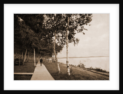 The Walk at We-Que-Ton-Sing, Michigan by Anonymous