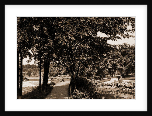 Niagara, Prospect Park by Anonymous