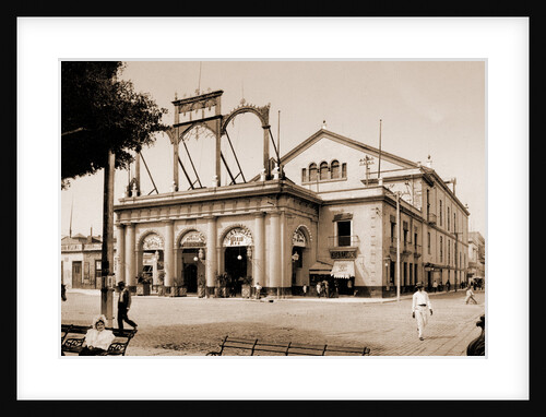 Teatro de Tacon, Habana by William Henry Jackson
