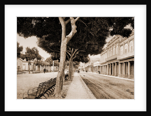 Paseo del Prado by William Henry Jackson