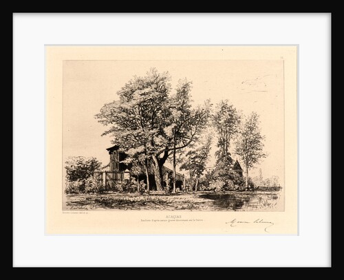 Acacias, 19th century by Maxime Lalanne