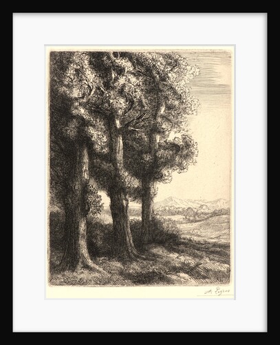 The Edge of the Woods (La Liseuse: La Lecture sous les Arbres) by Alphonse Legros