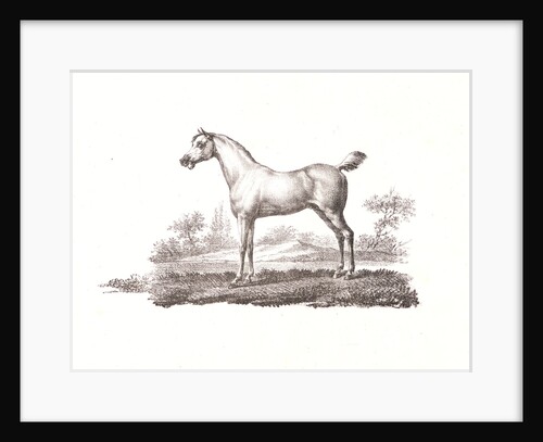 A Crayon Drawing, from Receuil Papryographique, 1820 by Alois Senefelder