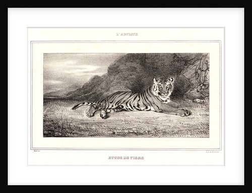Étude de Tigre, 1832 by Antoine-Louis Barye