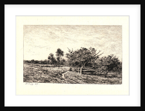Apple Trees at Auvers (Pommiers à Auvers), 1877 by Charles François Daubigny