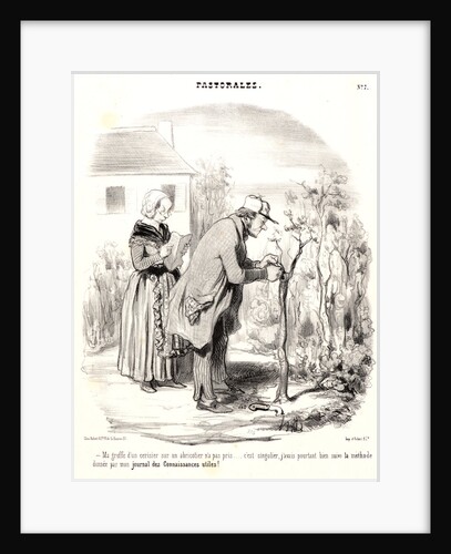 Ma greffe d'un cerisier sur abricotier n'a pas pris.., 1845 by Honoré Daumier
