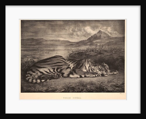 Tigre Royal, 1829 by Eugène Delacroix