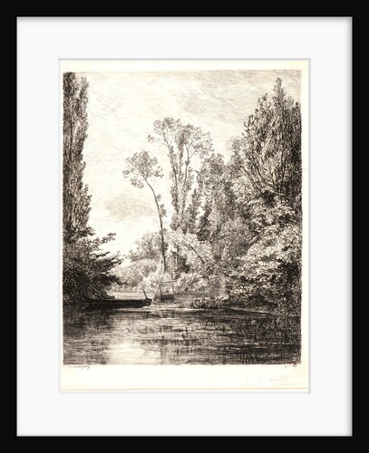 The Fishing Pool (The Vierge Islands at Bezons), 1850 by Charles François Daubigny