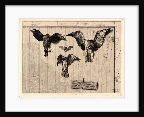 Birds Nailed to a Barn Door (Le Haut d'un Battant de Porte), 1852 by Félix Bracquemond