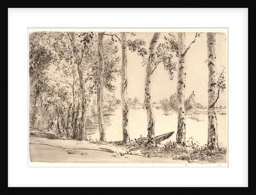 Aspens on the Bank of the Seine by Félix Bracquemond
