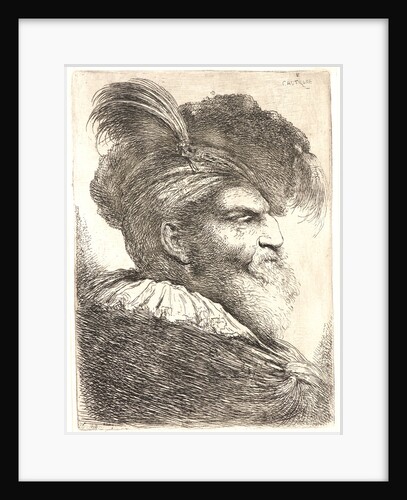 Bearded Man Wearing a Bonnet with a Plume, ca. 1648-1650 by Giovanni Benedetto Castiglione