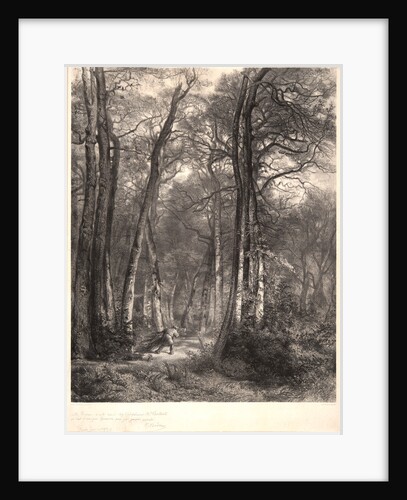 In the Forest or Tall Timber (En Forêt ou Haute Futaie), ca. 1851 by Karl Bodmer
