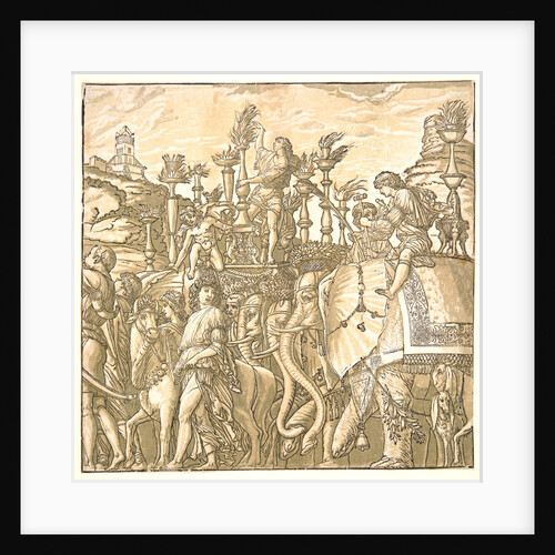 The Elephants, 1598 by Andrea Andreani