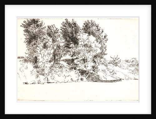 Le Pècheur à l'Epervier, 1891 by Félix Bracquemond