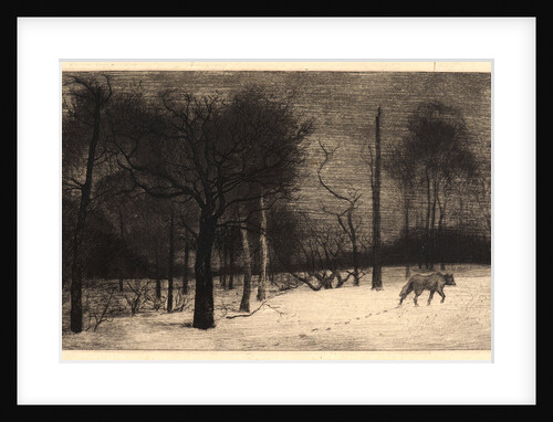Winter (Hiver, ou le Loup dans la Neige) by Félix Bracquemond