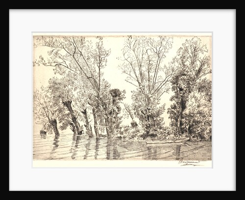 Willows (Les Saules des Mottiaux), 19th century by Félix Bracquemond