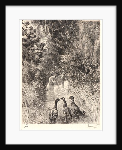 Surprised Ducks (Canards Surpris). by Félix Bracquemond