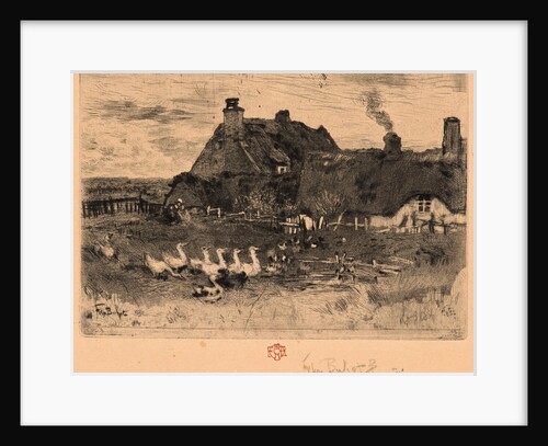 Ducks and Cottage, 19th century by Félix Hilaire Buhot