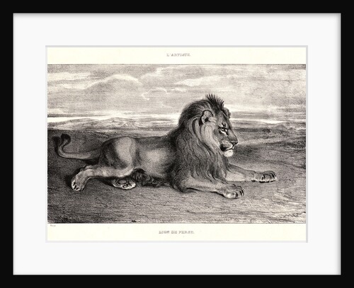 Lion de Perse, 1832? Lithograph. second or third. by Antoine-Louis Barye