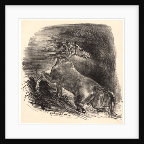 A Wild Horse Emerging from Water (Cheval sauvage sortant de l'eau), 1828 by Eugène Delacroix