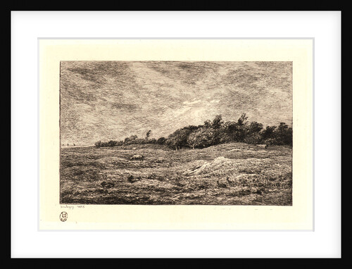 Le Pré des Graves à Villerville (Calvados), 1875 by Charles François Daubigny