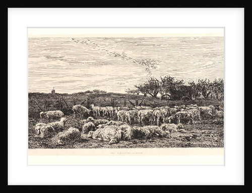 The Sheepfold, Morning (La Grand Parc à Moutons, le Matin), ca. 1860 by Charles François Daubigny
