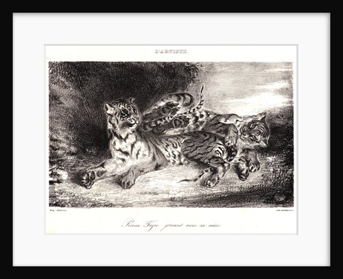 Young Tiger Playing with its Mother (Jeune Tigre jouant avec sa Mêre), 1831 by Eugène Delacroix